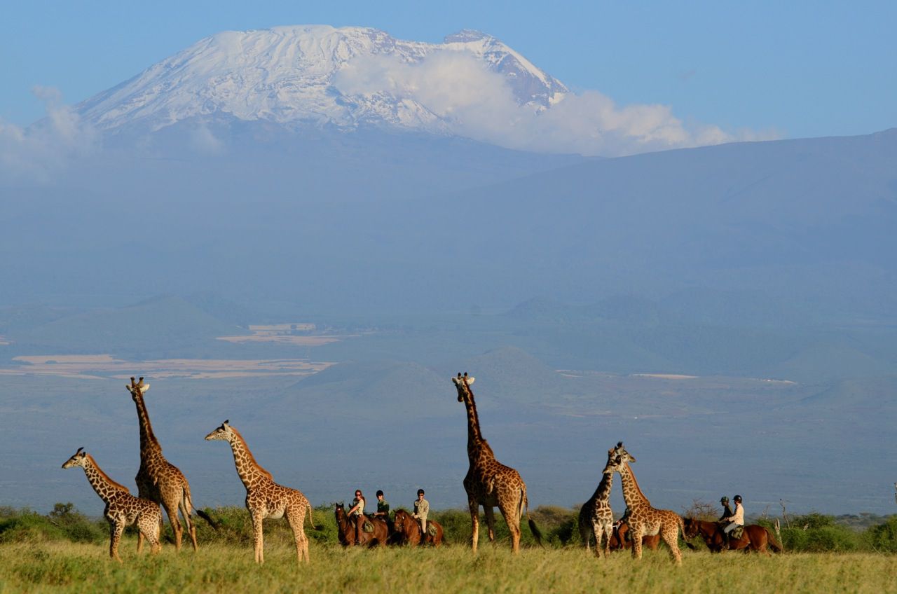 Kilimanjaro Elephant Ride itinerary.