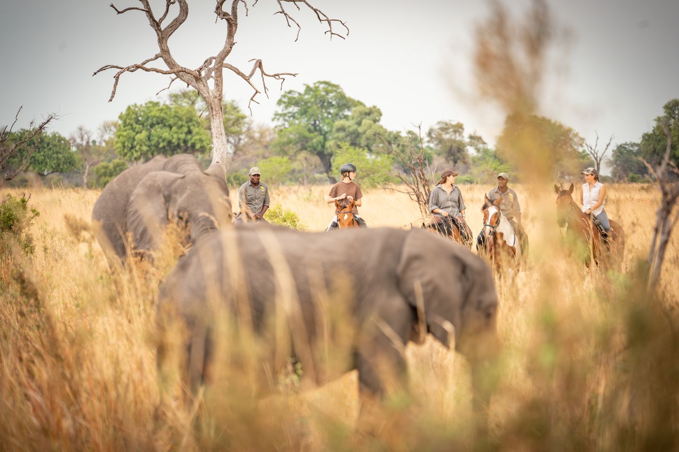 7 night itinerary itinerary.