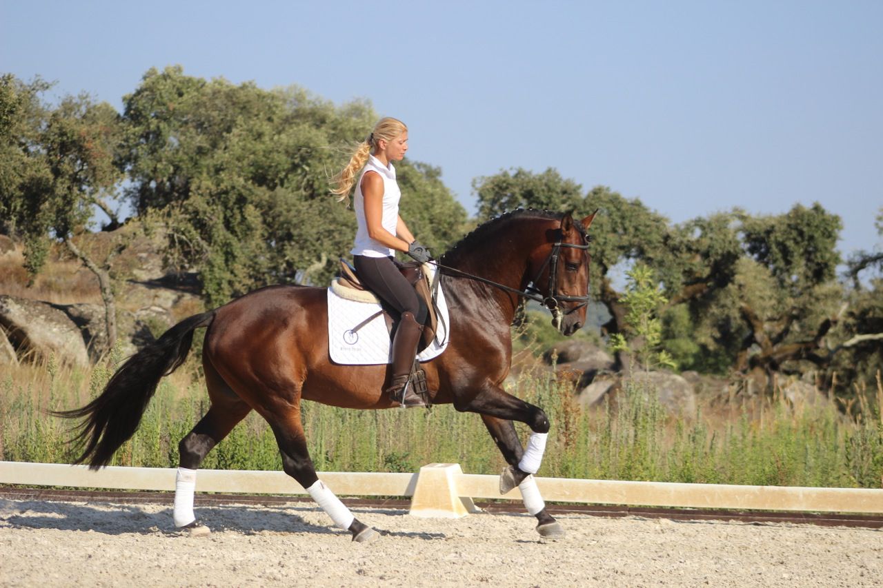 Dressage and Countryside Riding Combination itinerary.