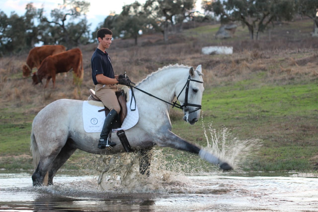 Yoga and Riding Retreat itinerary.