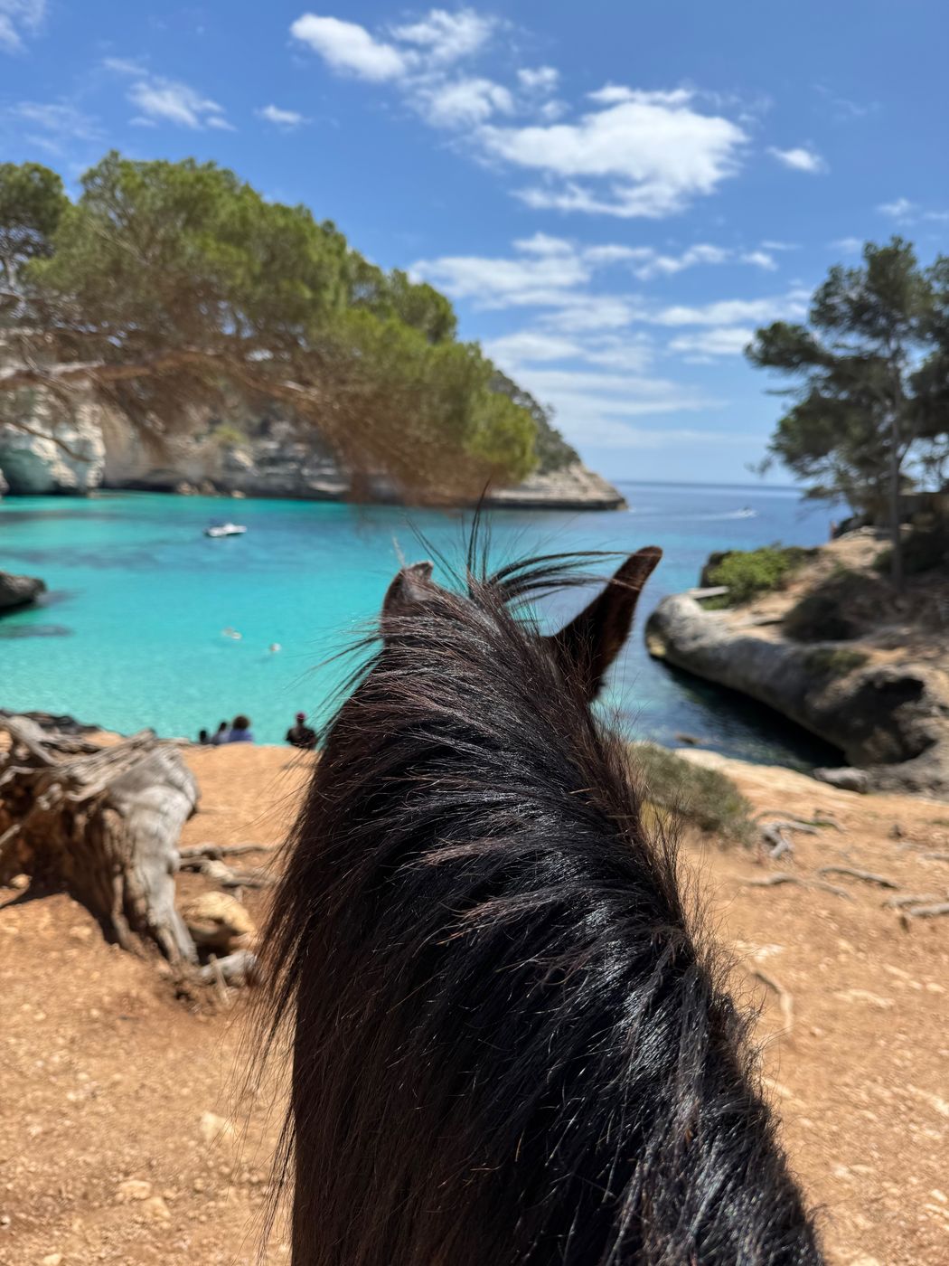 Five Day Programme itinerary.