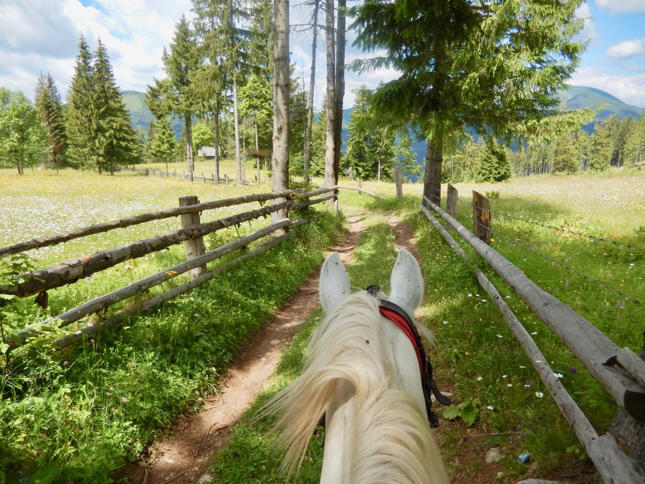 Red Lake Trail itinerary.