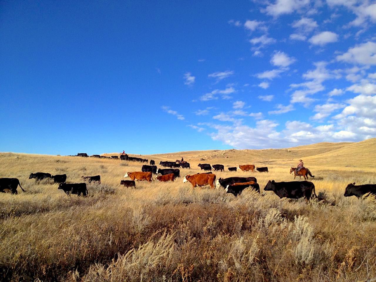 Ranch Stay itinerary.