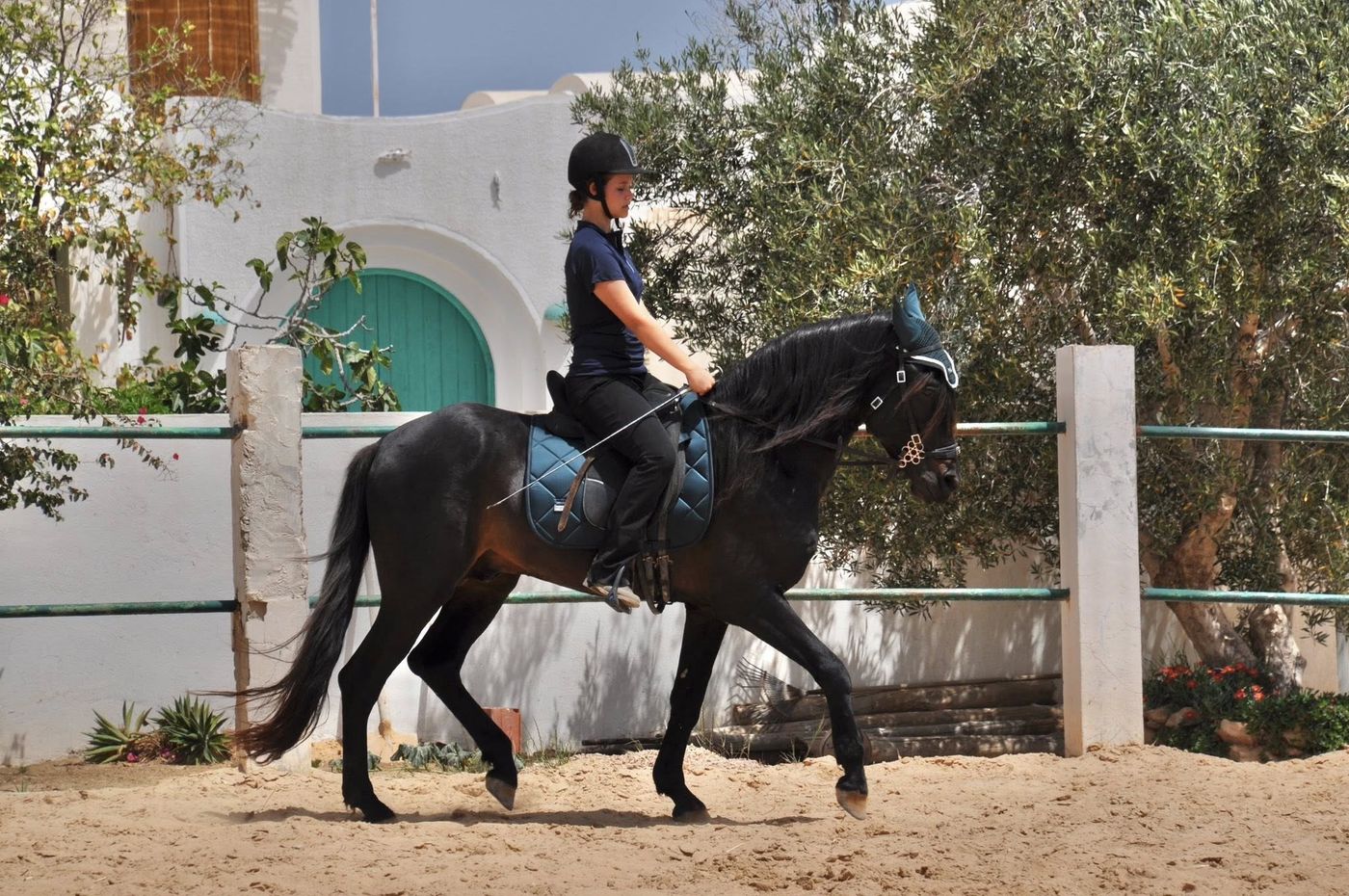Horses & Culture Retreat itinerary.