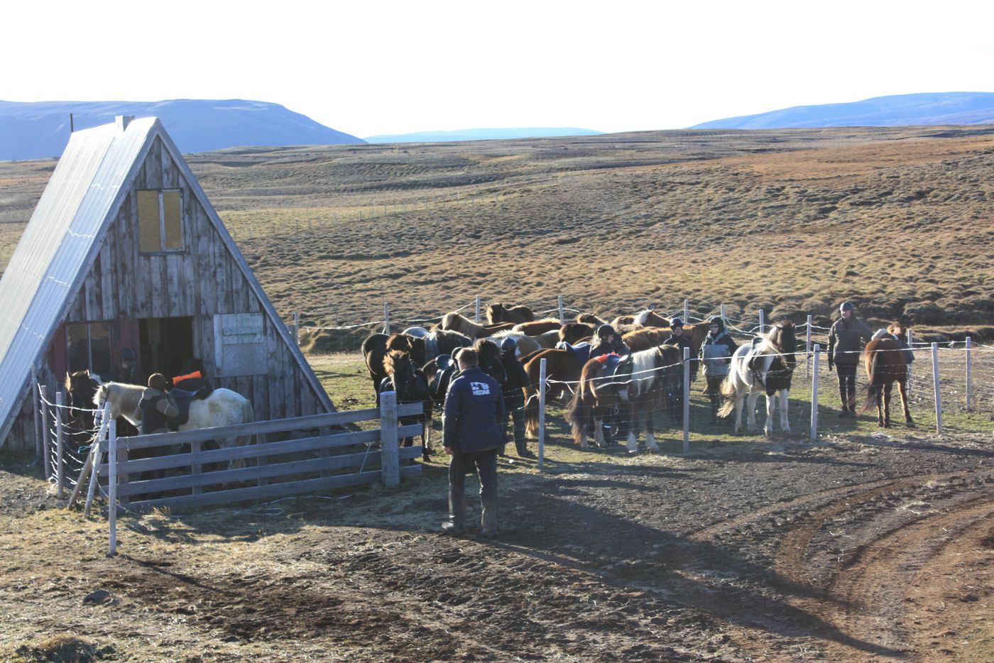 Horse Round Up in Skrapatungurétt itinerary.