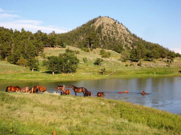 Black Hills Ranch (Wyoming) itinerary.