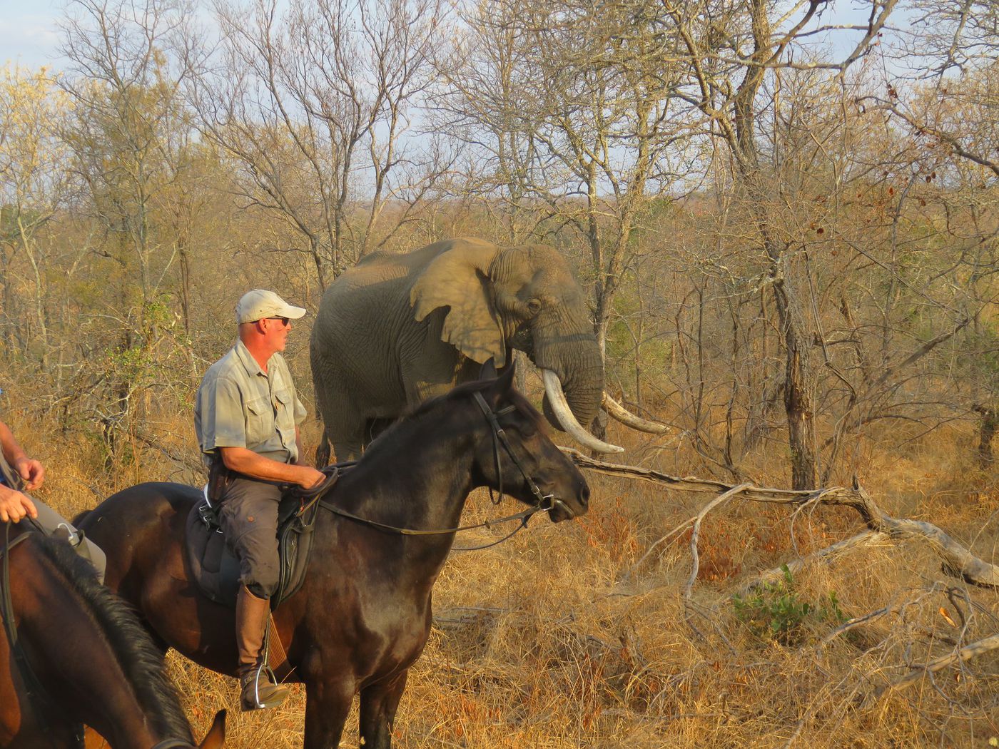 Big Five Camp Safari itinerary.