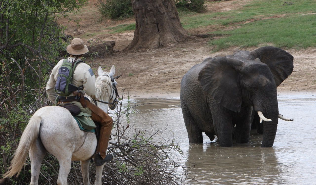 Hwange National Park Ride itinerary.