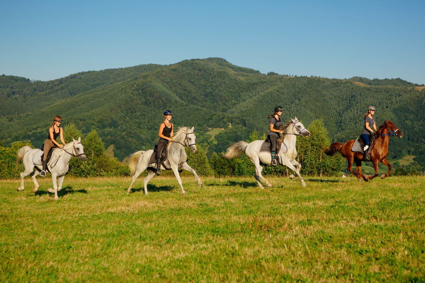 Transylvania Trail itinerary.