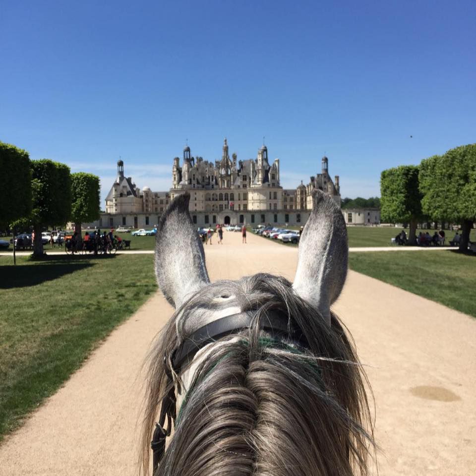 Chambord to Chenonceaux Luxury Tour itinerary.