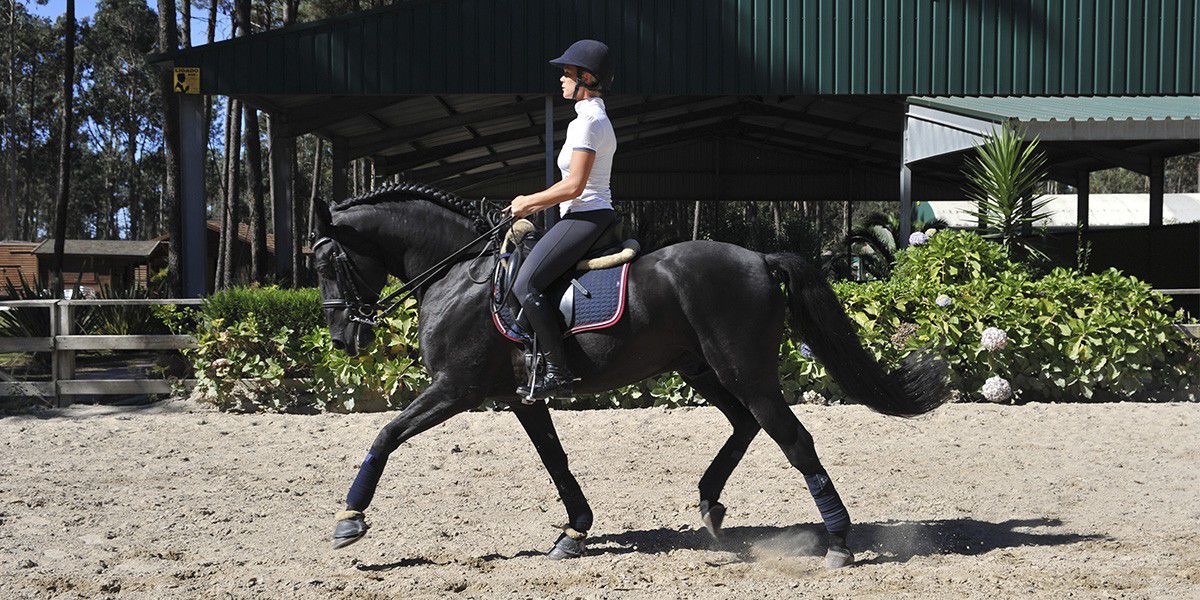 Dressage Training Week itinerary.