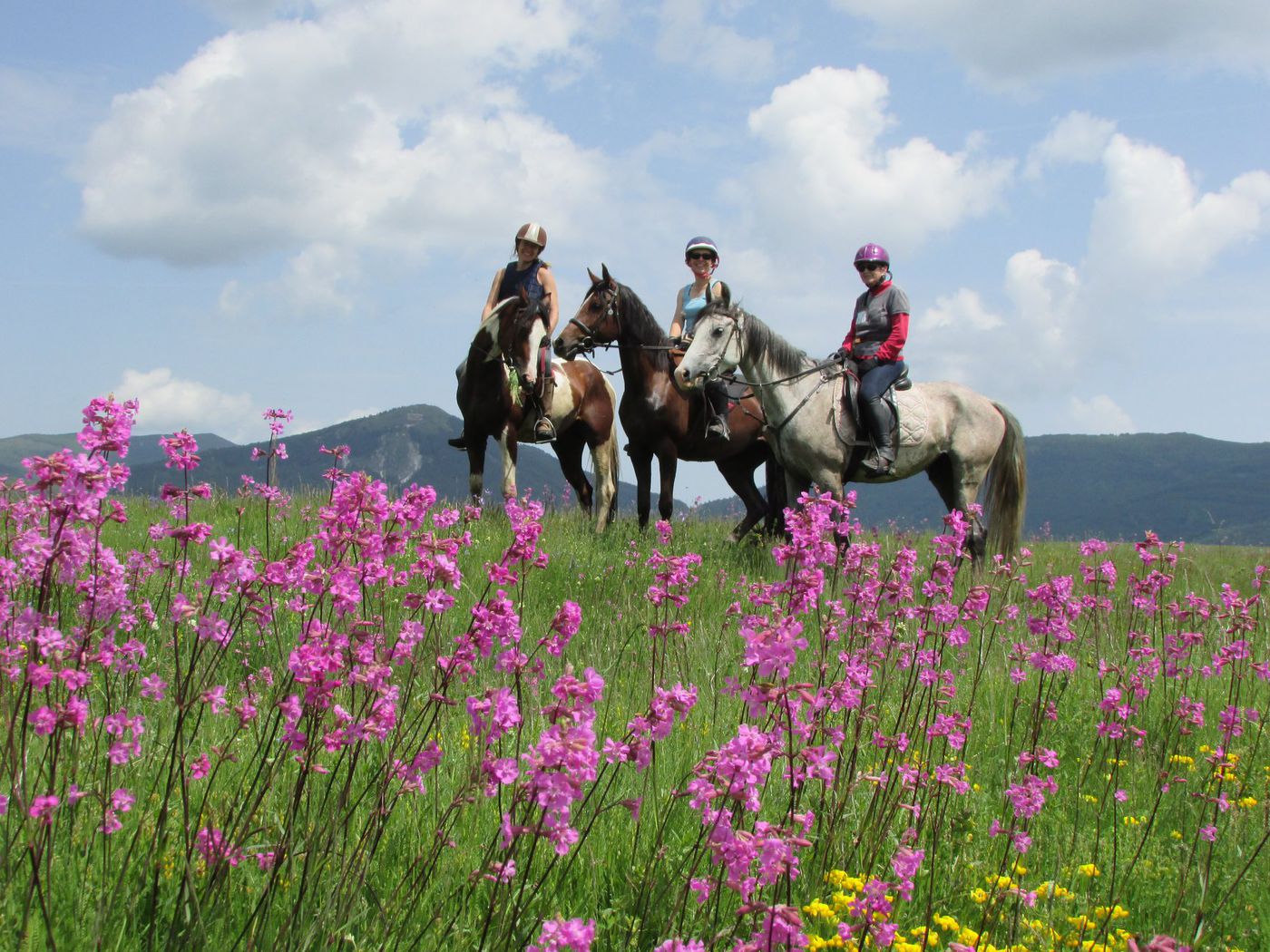 Introduction to Trail Riding itinerary.