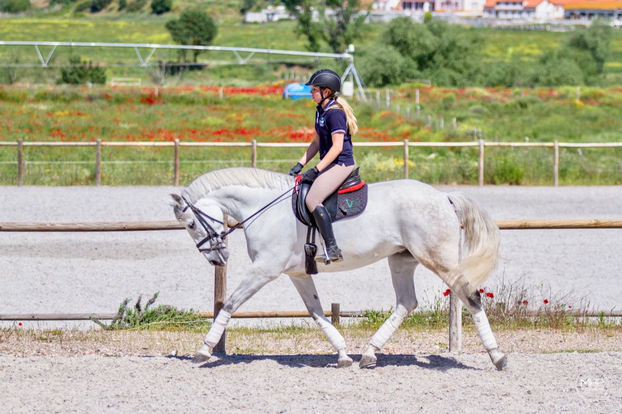 Dressage Programme itinerary.