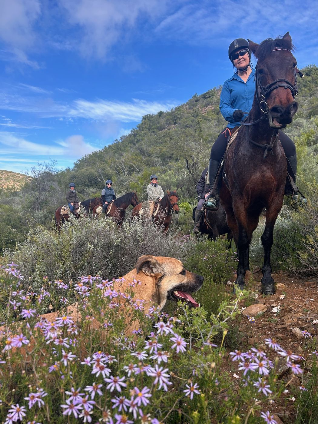 Coast to Klein Karoo itinerary.