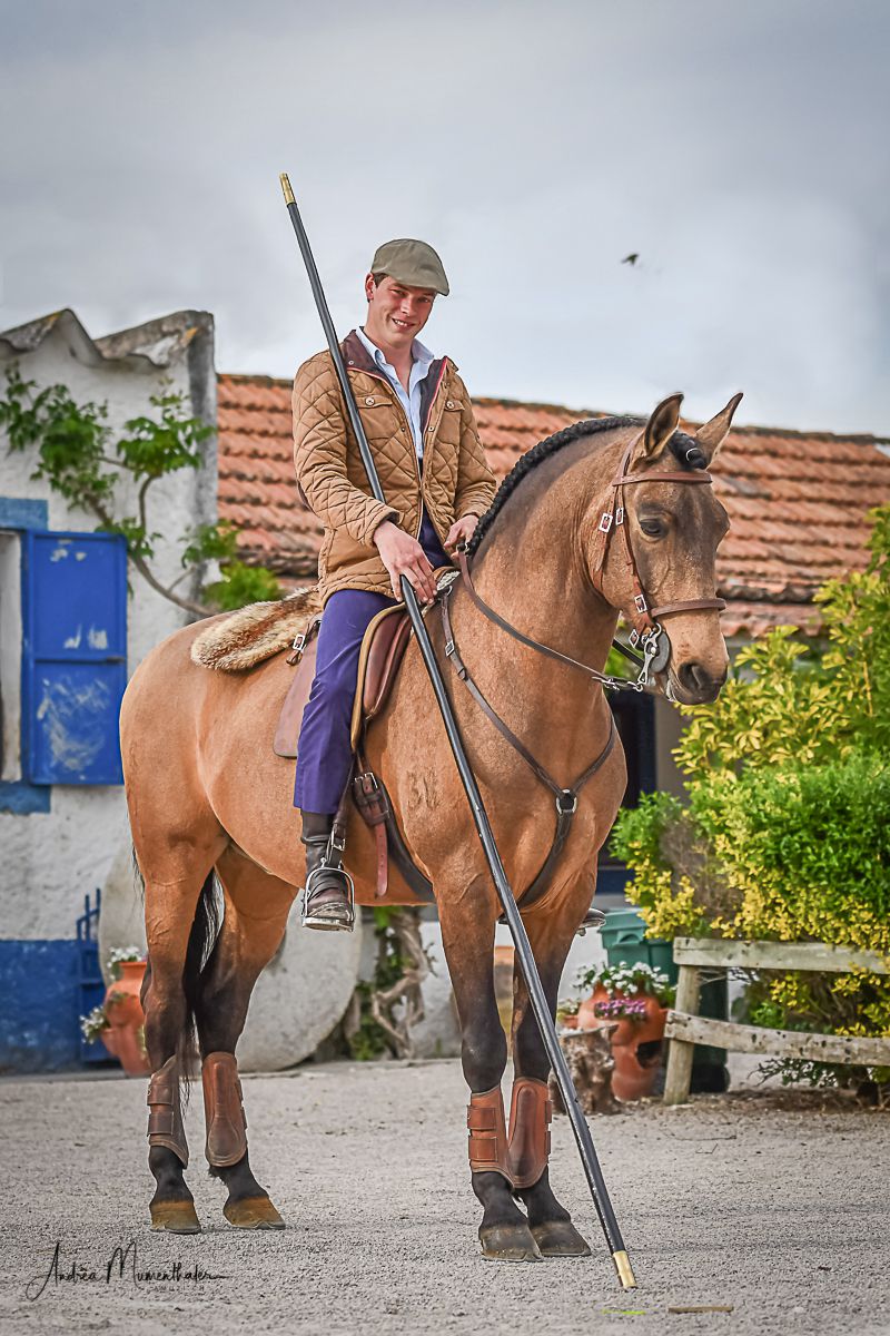 Lusitano Passion Short Break (3 Night) itinerary.