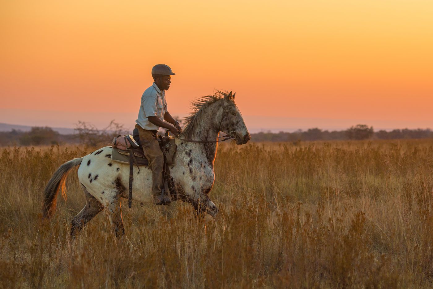 Signature Safari itinerary.