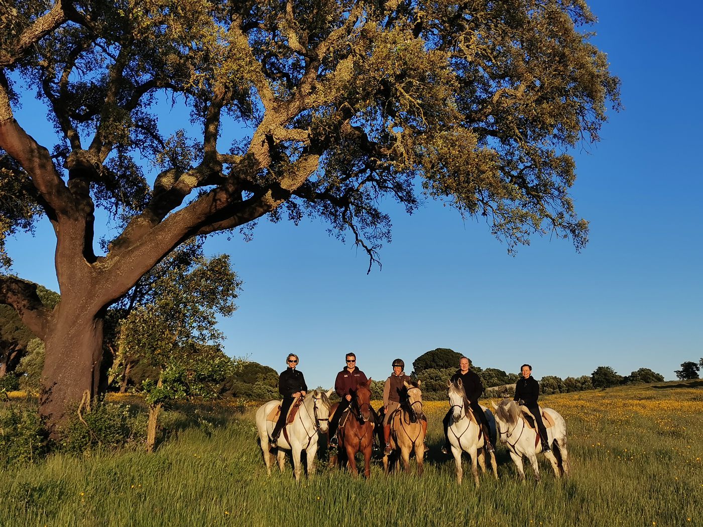 Ride & Relax itinerary.