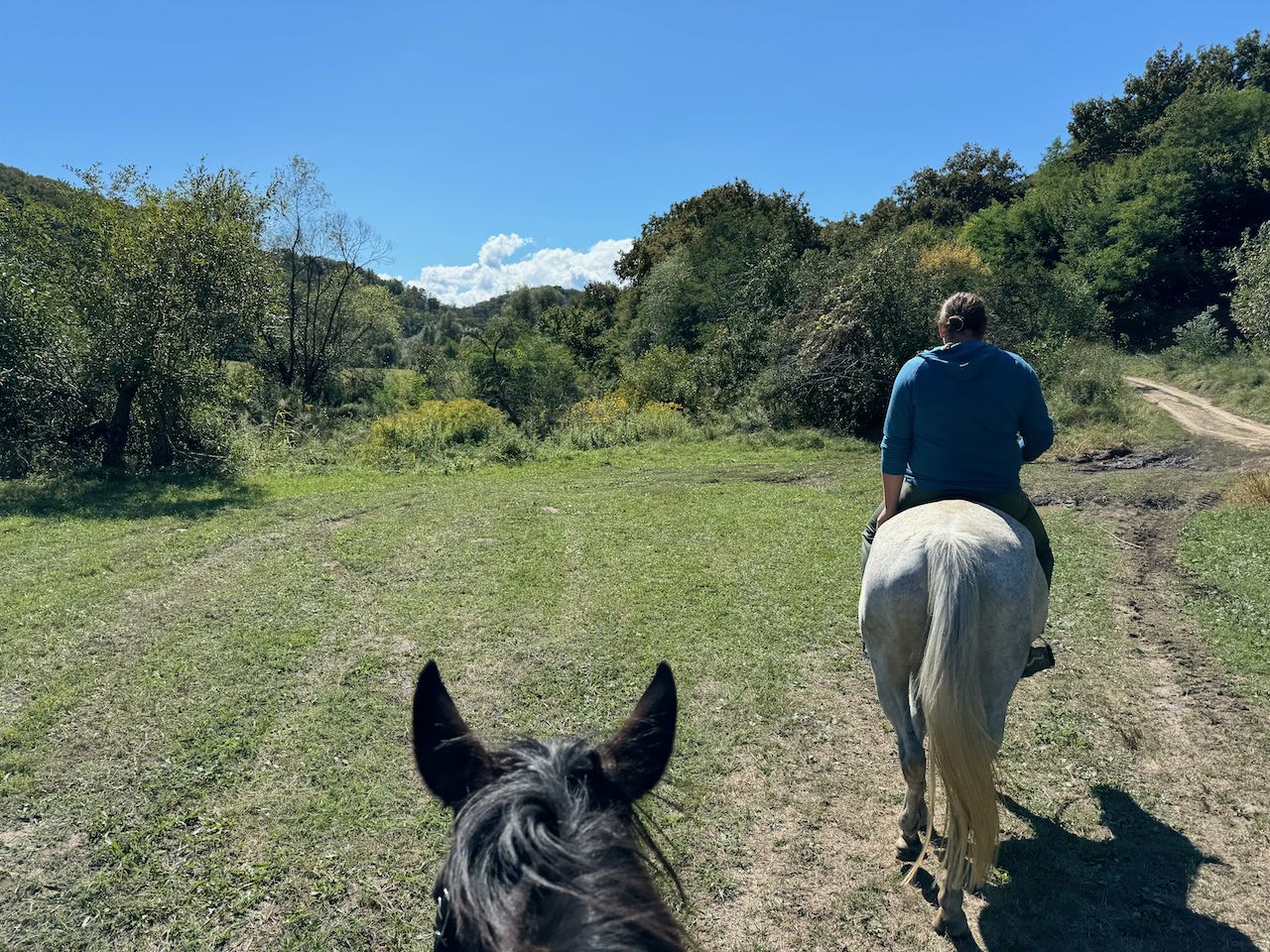 Sibiu to the Fǎgǎraș Mountains (6 Nights) itinerary.