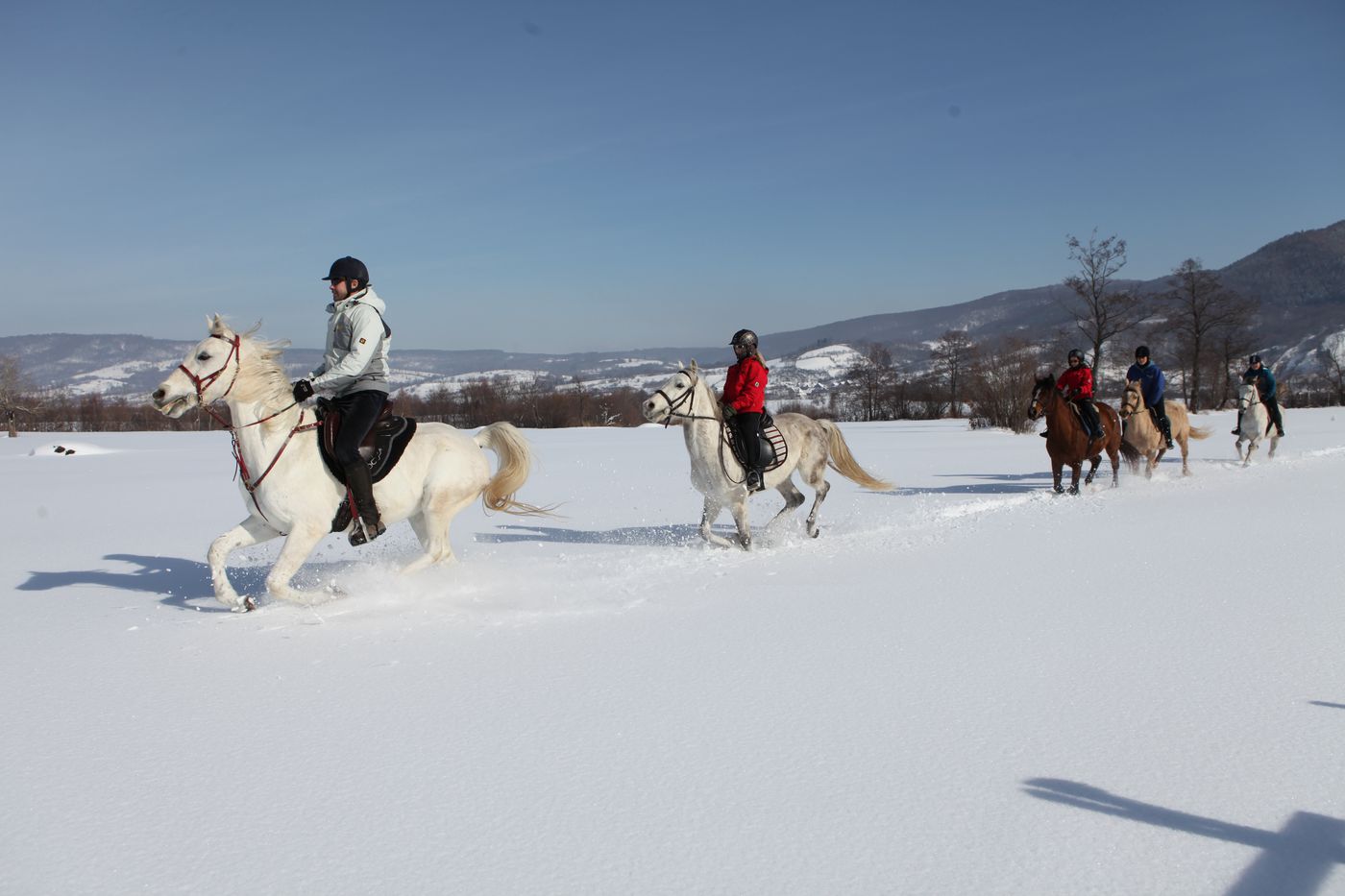 Winter in Transylvania itinerary.