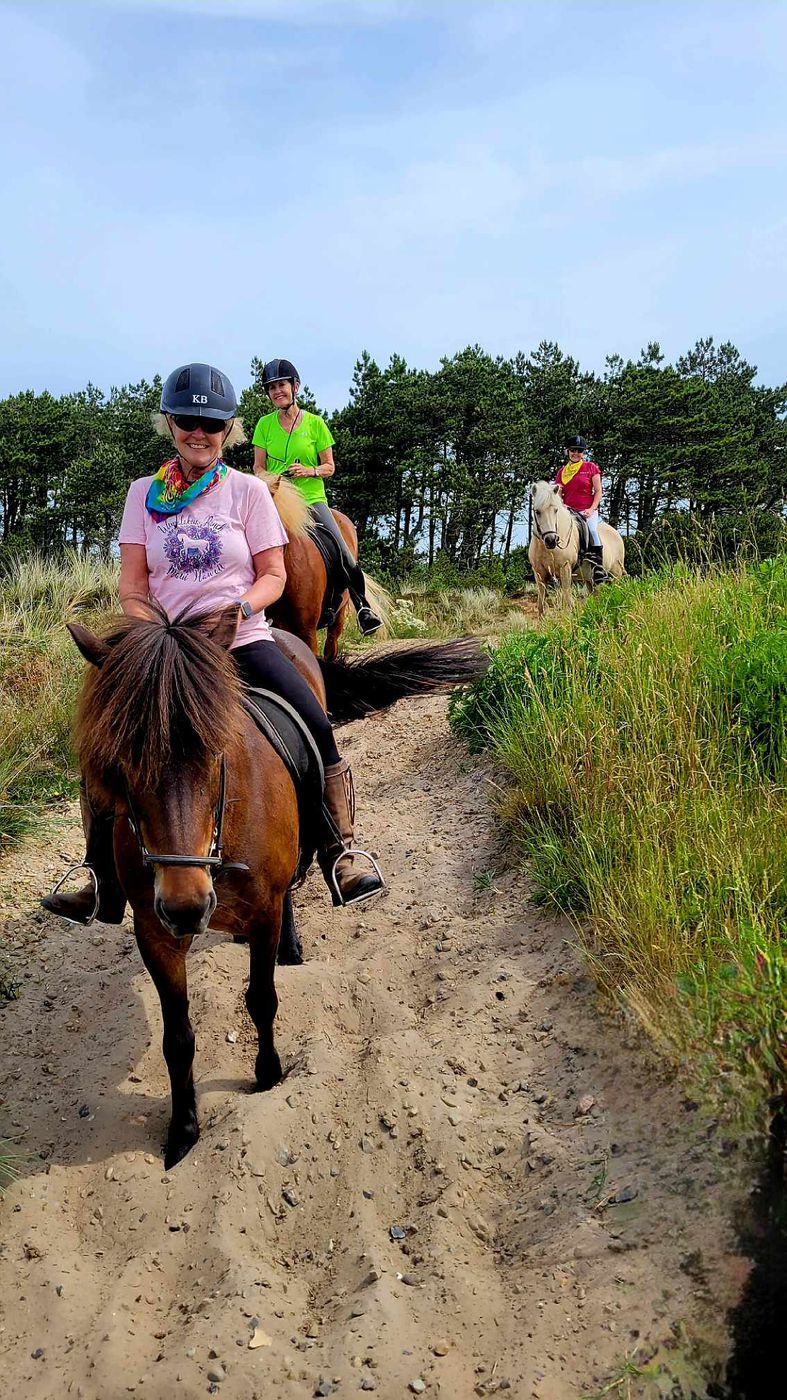 Beach and Forest Short Break itinerary.