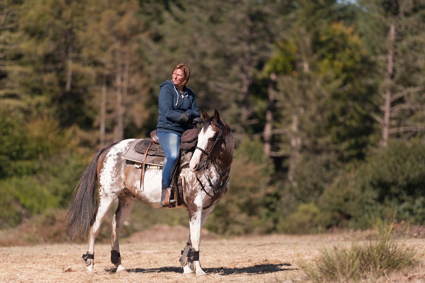 Ranch Adventures itinerary.