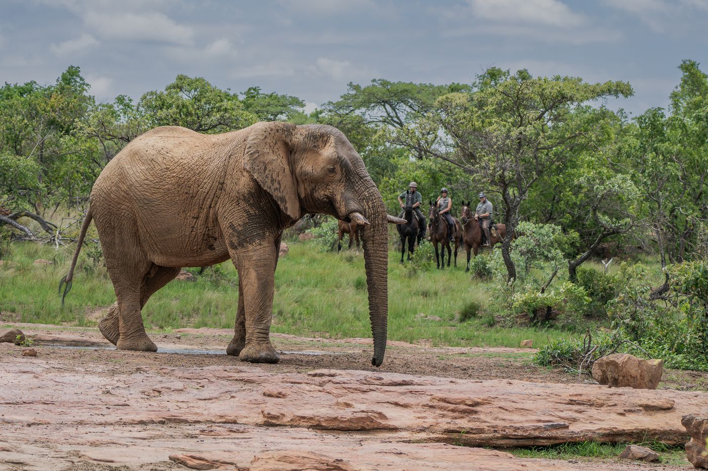 Ant's Big Five Safari itinerary.