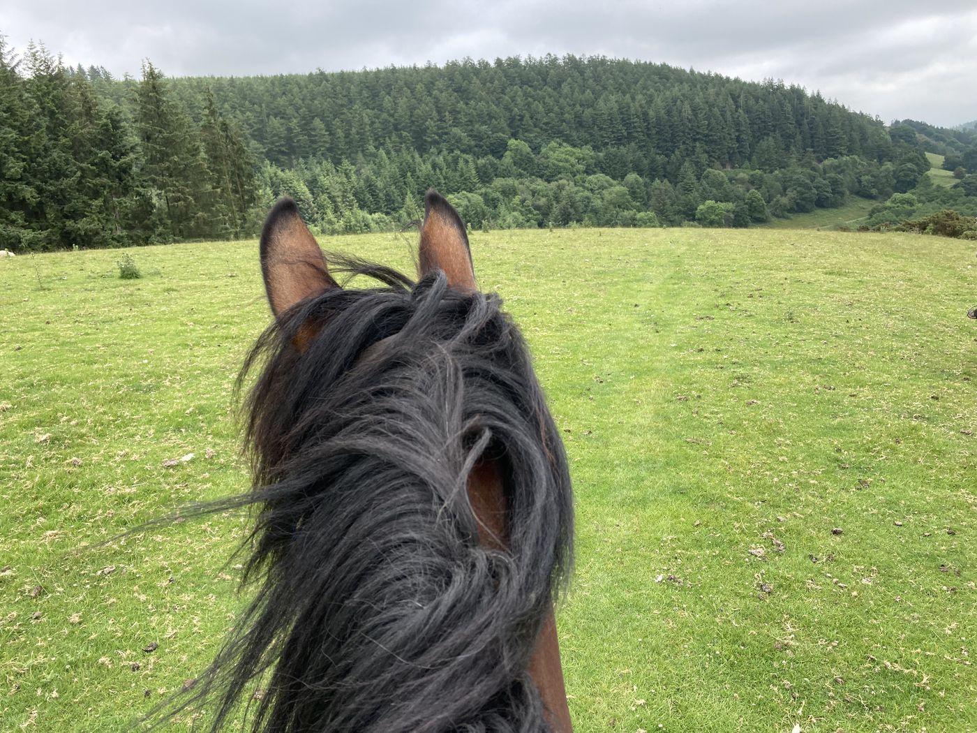 Welsh Hills Trail itinerary.