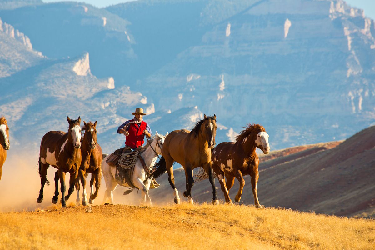 Classic Cowboy Guest Ranch Programme itinerary.