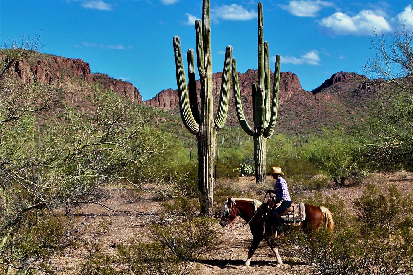 White Stallion Ranch Stay itinerary.
