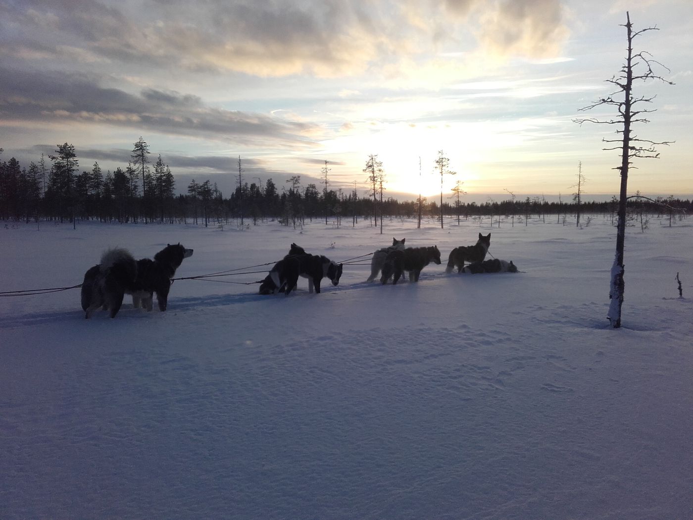 Lappish Winter Adventure itinerary.