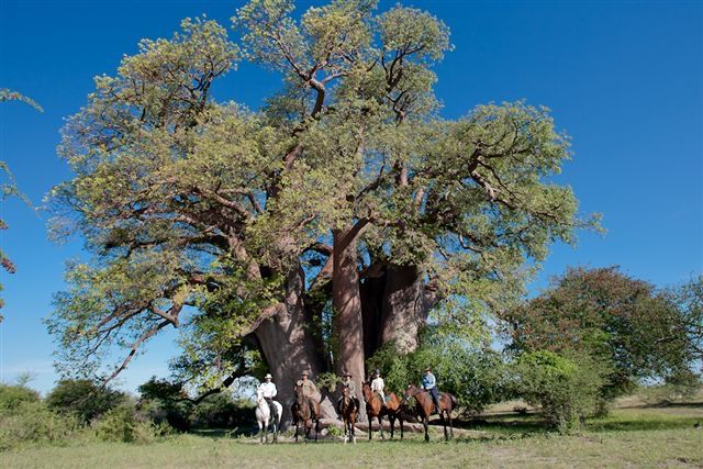 Green Season Itinerary itinerary.