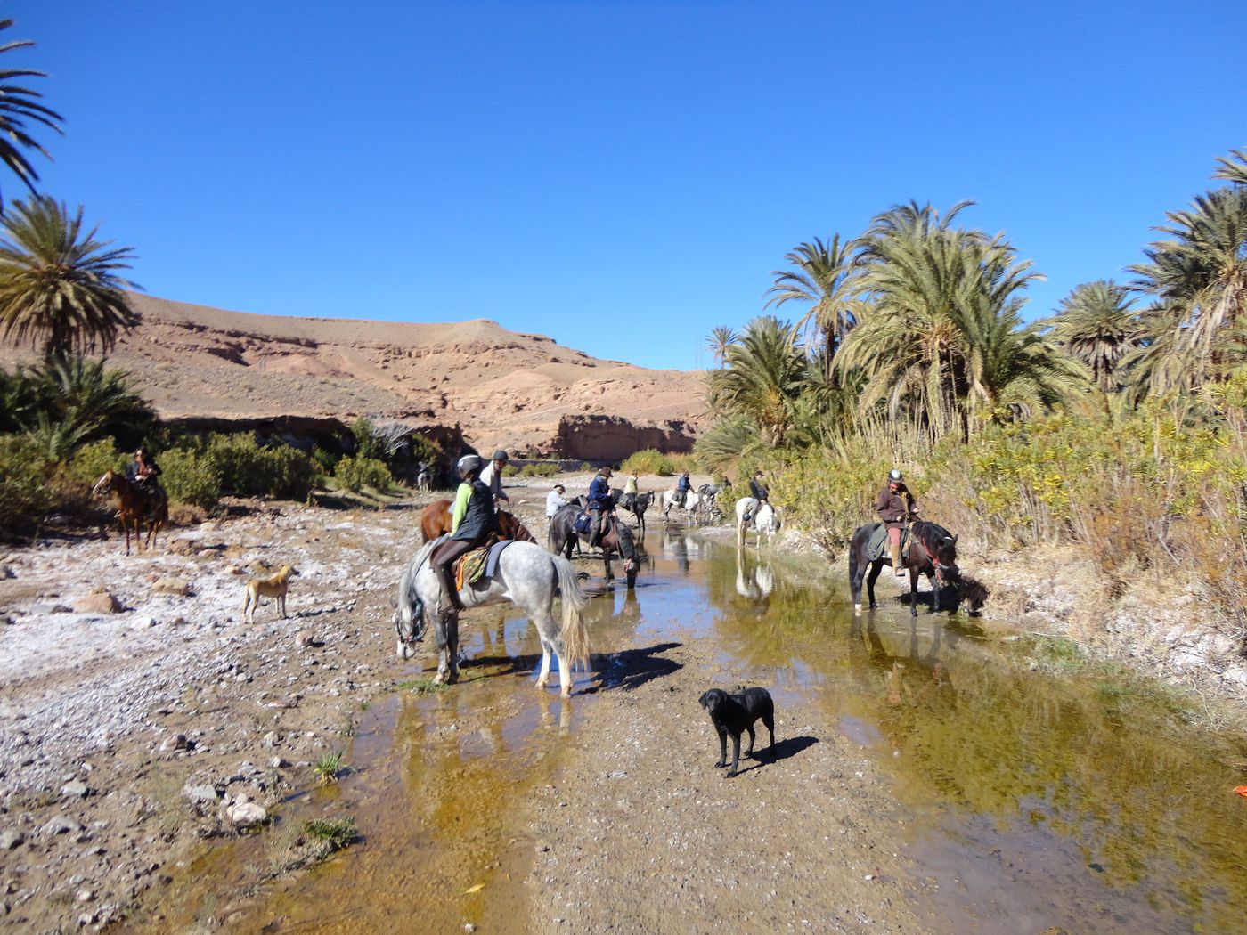 Route of 1000 Kasbahs itinerary.