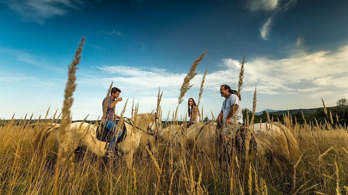 Family Ranch Stay itinerary.