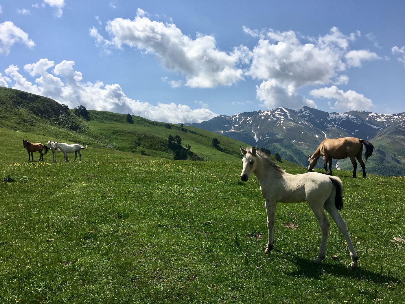 Tusheti Ride itinerary.