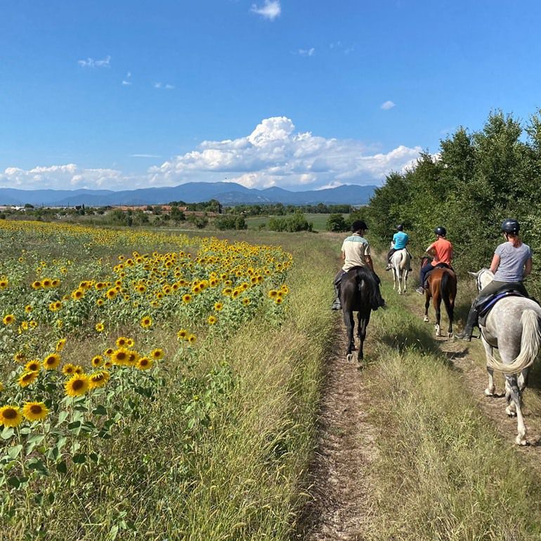 Sredna Gora Trail itinerary.