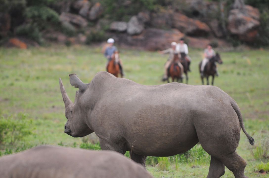 Waterberg Big Five Circuit itinerary.