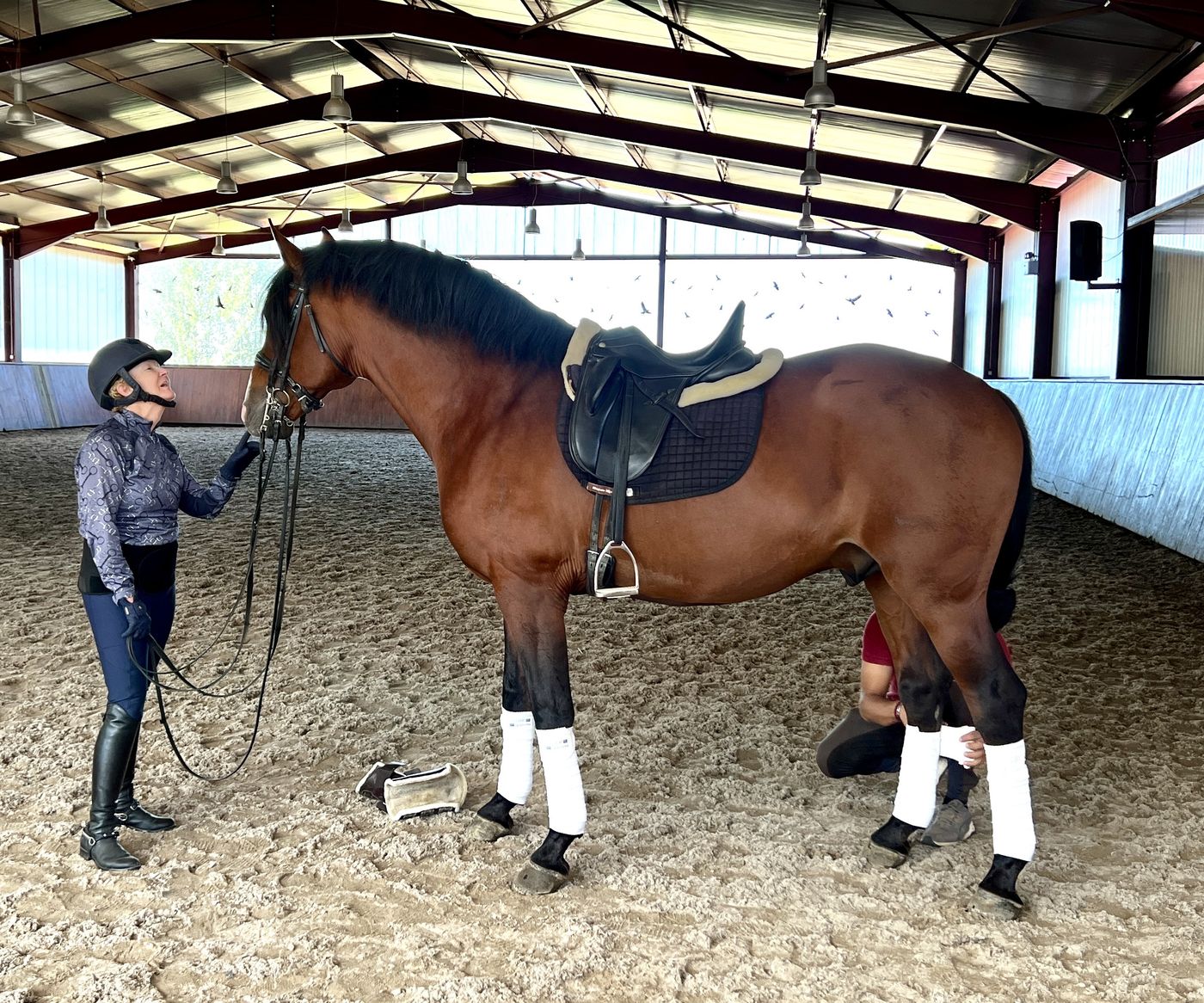 Intensive Dressage Programme itinerary.