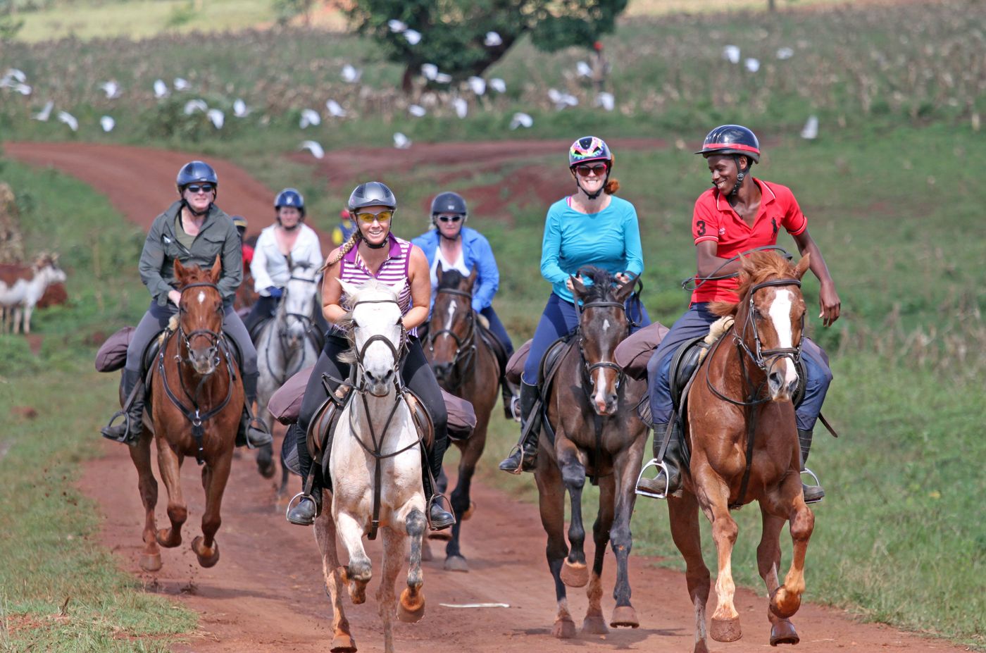 Nile River Ride itinerary.