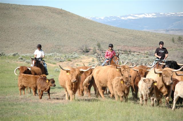 Range Rider Weeks (with Cattle) itinerary.