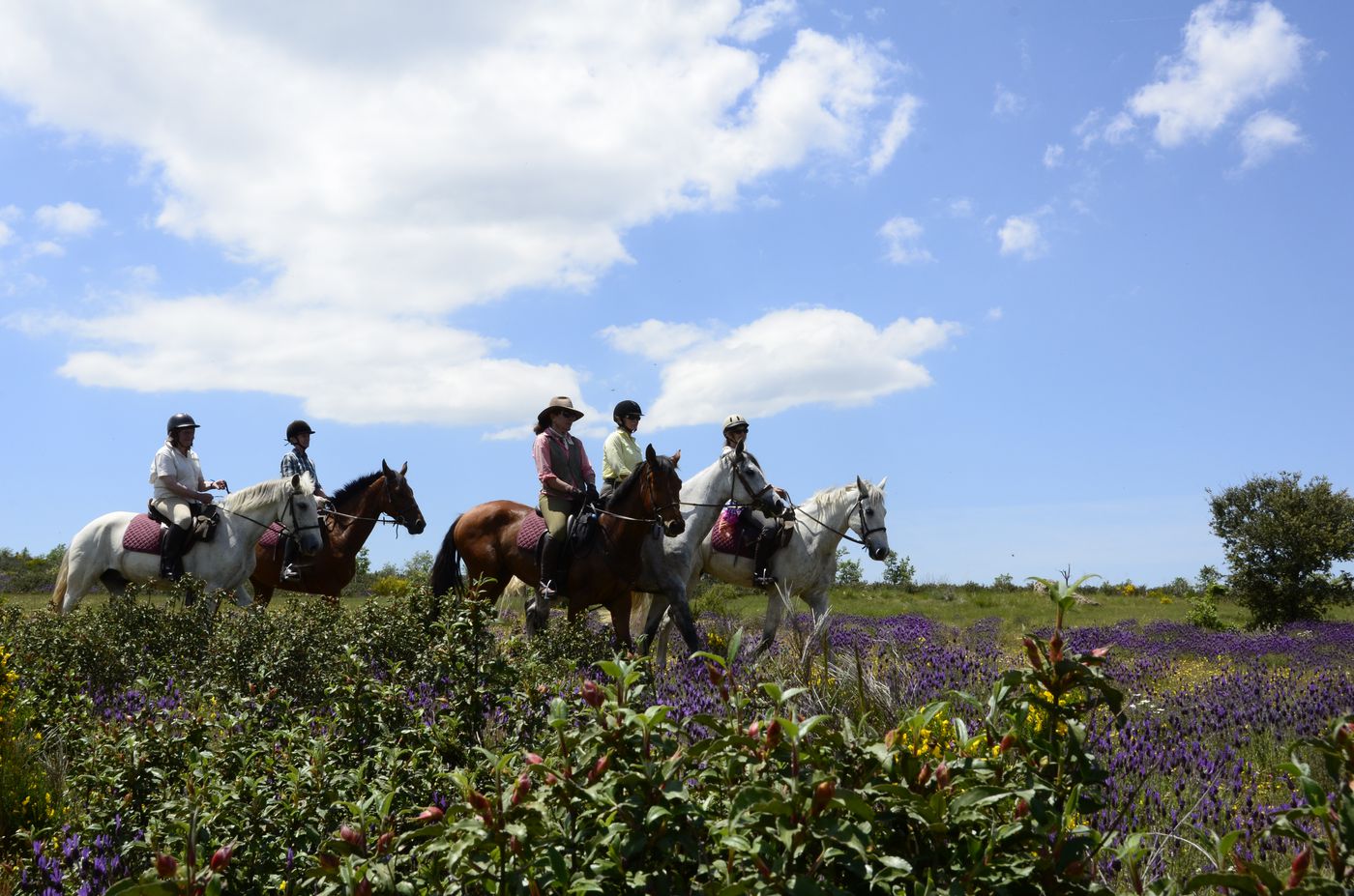 History At A Canter itinerary.