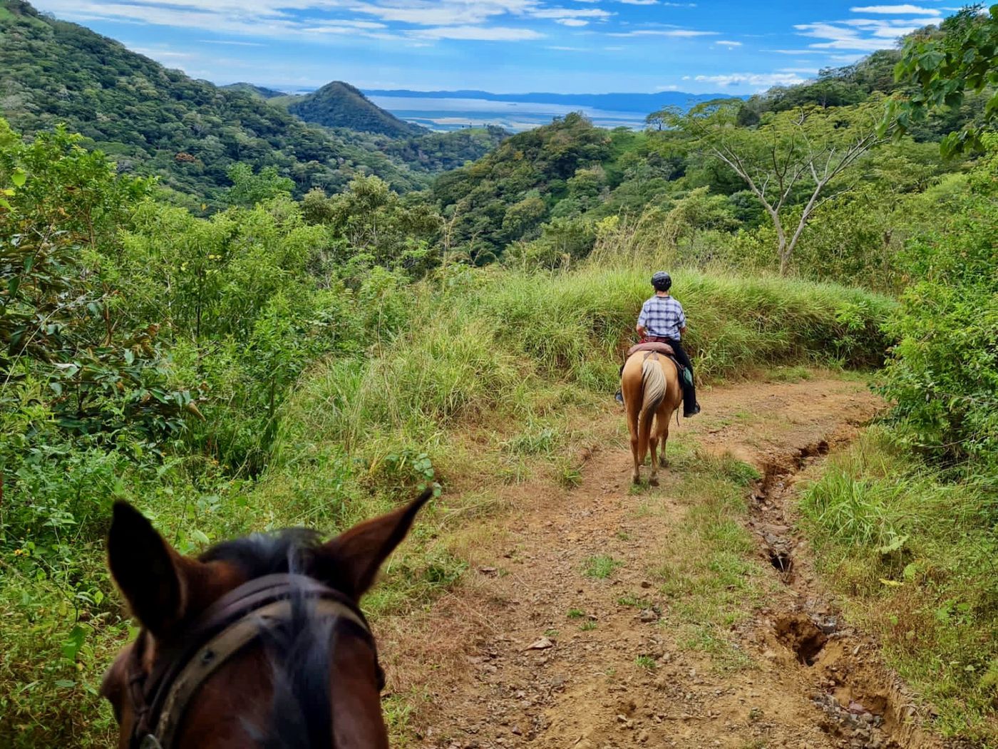 Whales, Cloud Forest and Riding Tour itinerary.