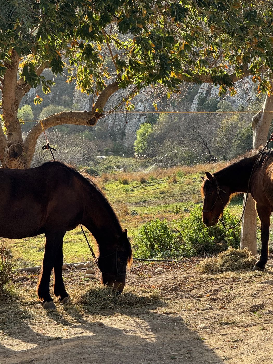 Coast to Klein Karoo itinerary.