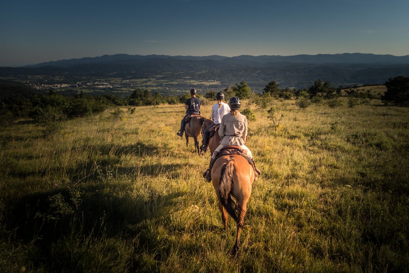 Wild Gourmet Escape itinerary.