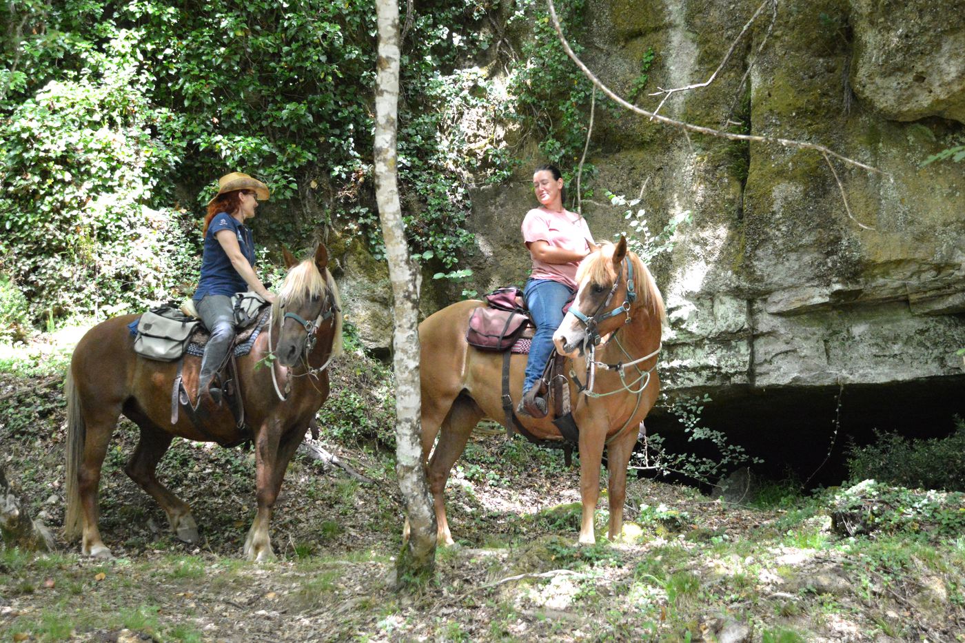Farm Stay and Mini Trail Combination itinerary.