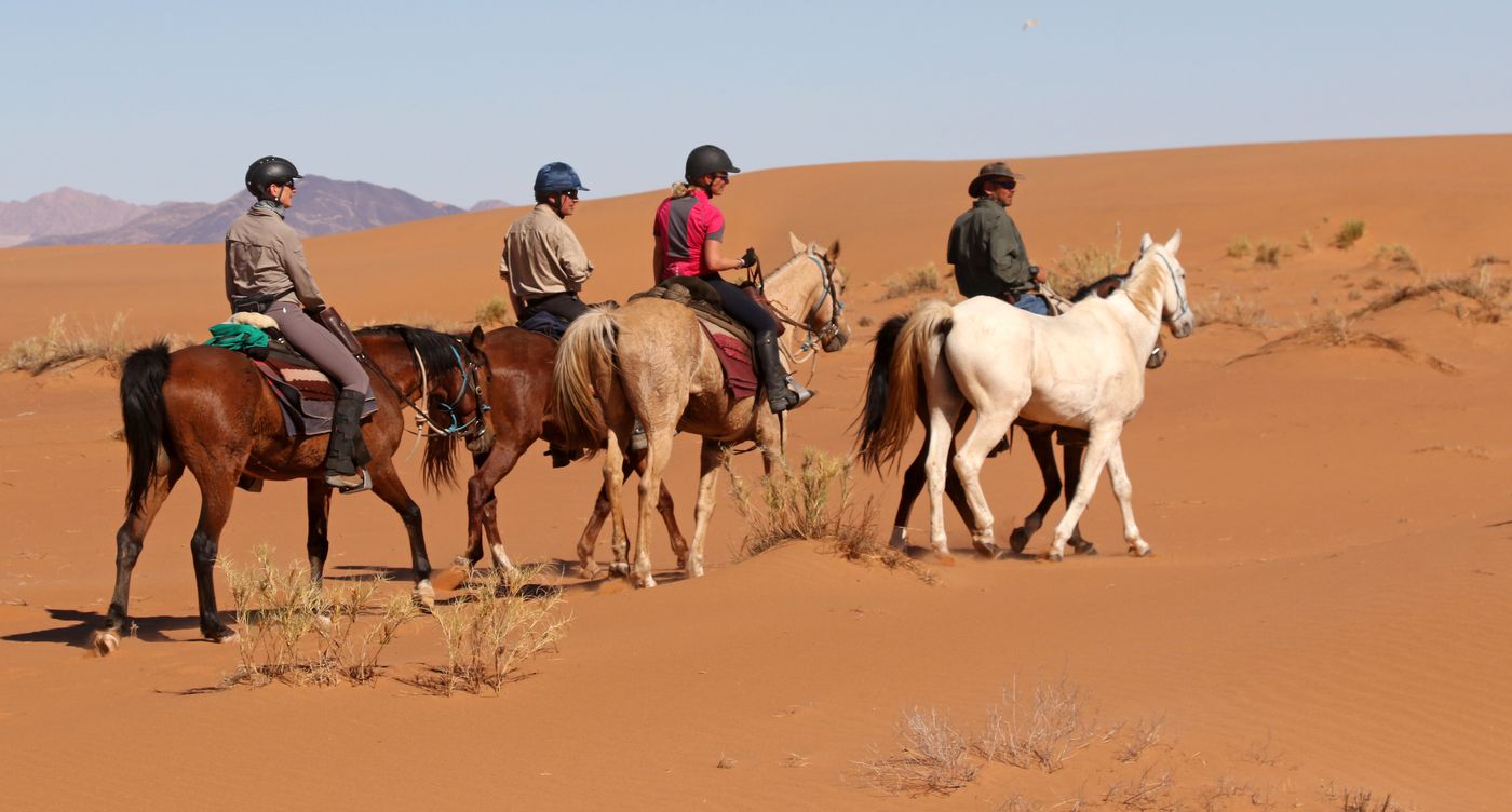 Wild Horses Safari itinerary.