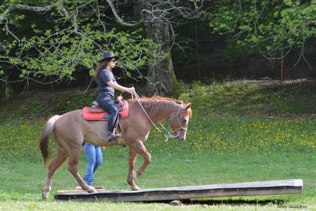 Western Riding & Mountain Trail Course itinerary.