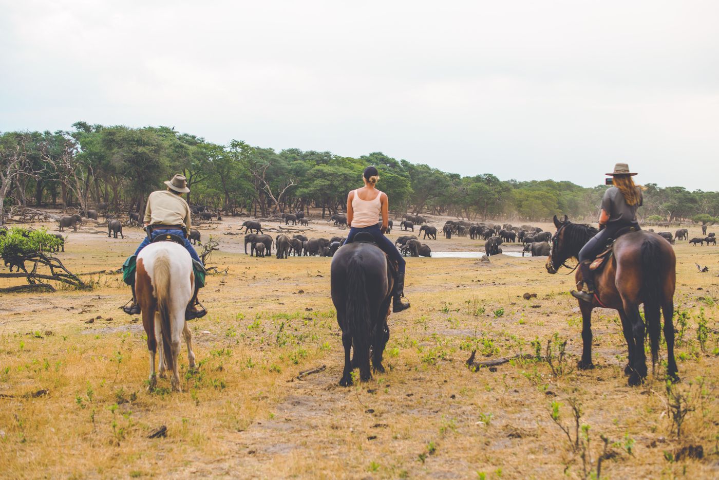 Horse and Hippo Safari itinerary.