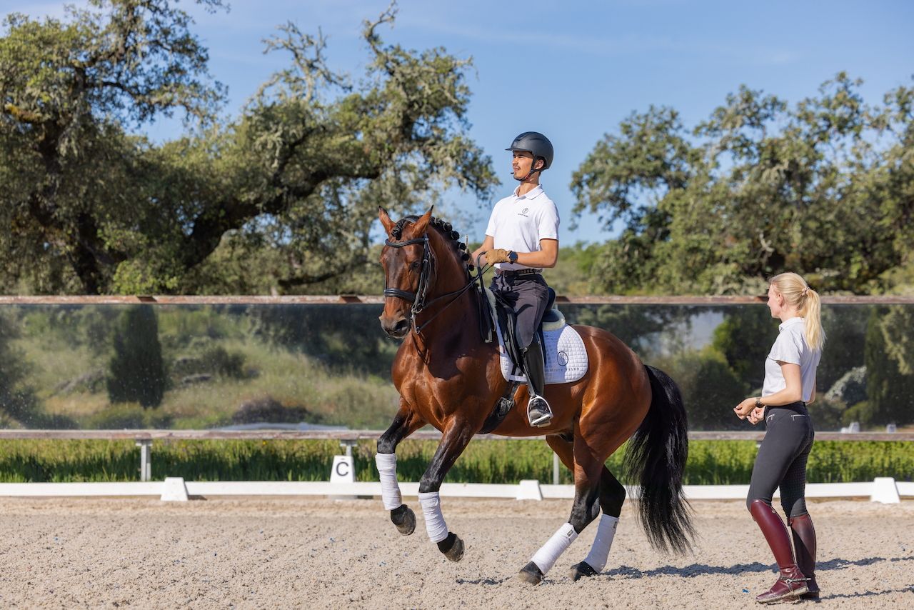 Regular Dressage Programme itinerary.