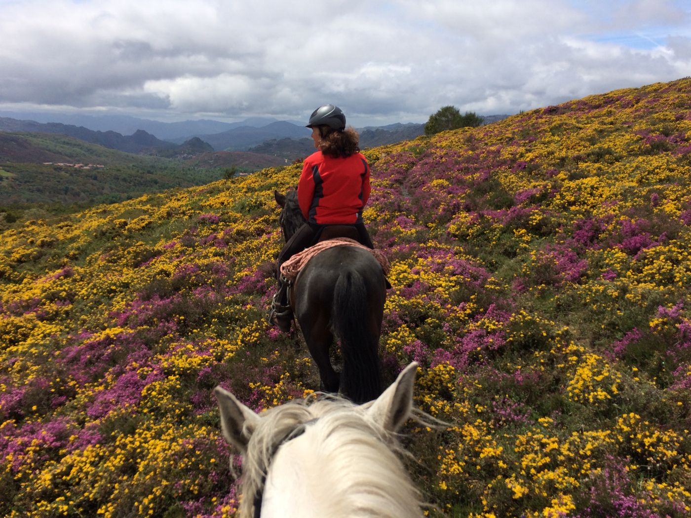 Gerês Wolf and Wild Horse Programme itinerary.