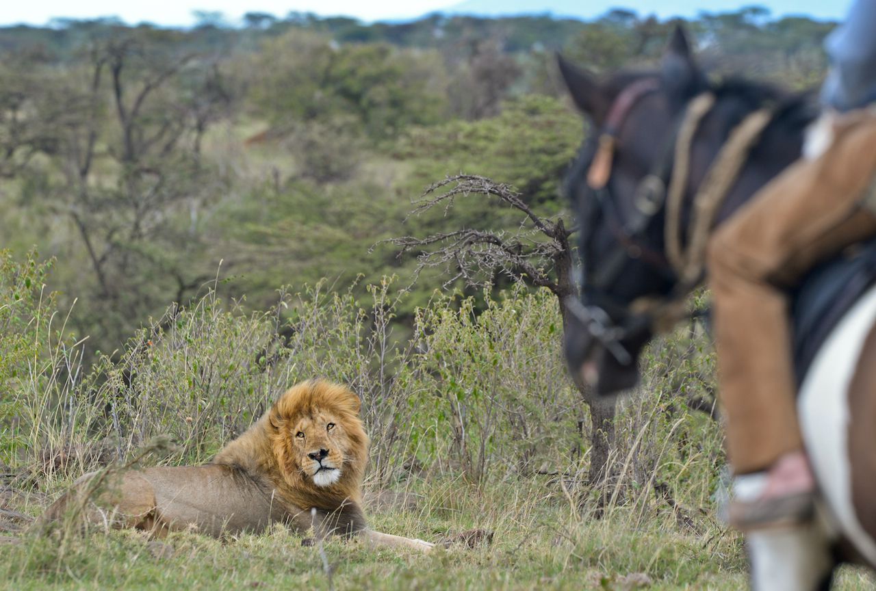 Masai Mara Ride itinerary.